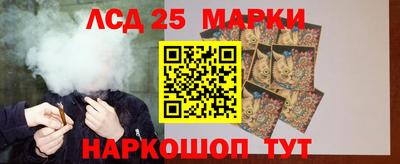гашик Тверь