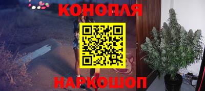 гашик Тверь