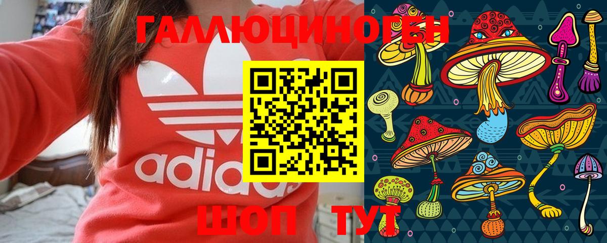 Новоуральск  Псилоцибиновые грибы мицелий  Вход с VPN  Галлюциногенные грибы GOLDEN TEACHER 